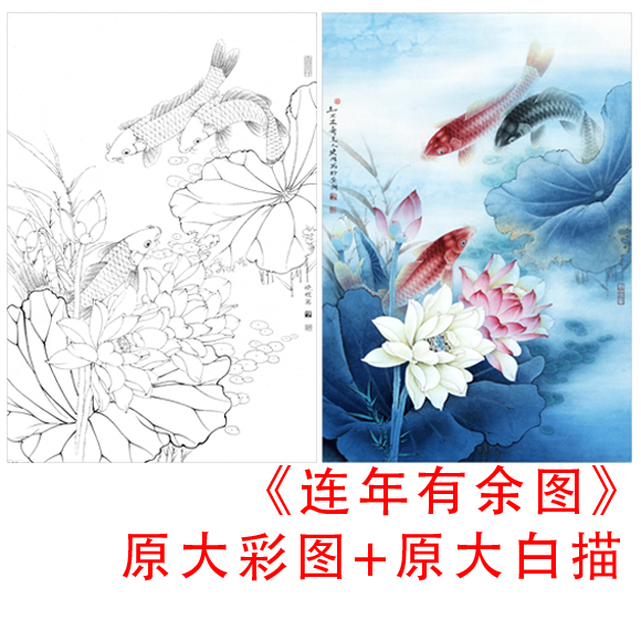 工笔白描鲤鱼底稿李晓明线描临摹