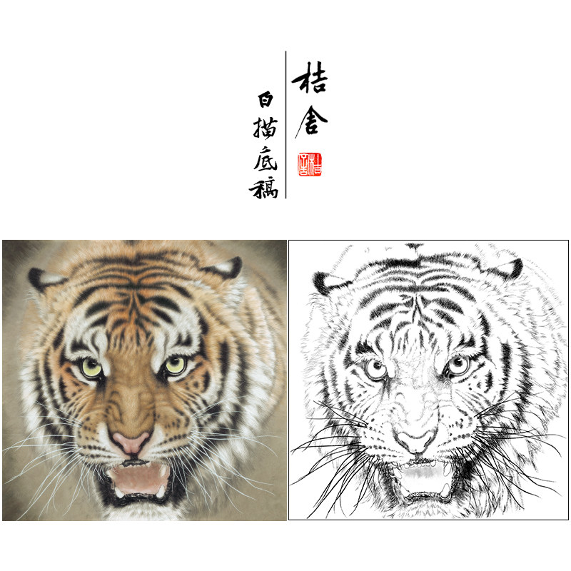 【大彩图】孟祥顺工笔画白描底稿斗方《老虎头》临摹动物线稿A638