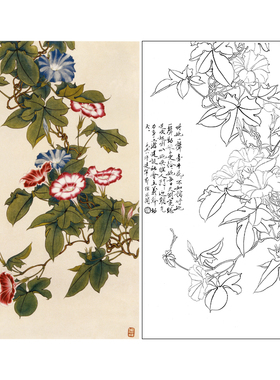 于非闇竖幅工笔花鸟白描底稿《牵牛花》临摹勾线高清打印稿YF21