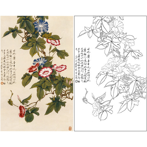 于非闇竖幅工笔花鸟白描底稿《牵牛花》临摹勾线高清打印稿YF21