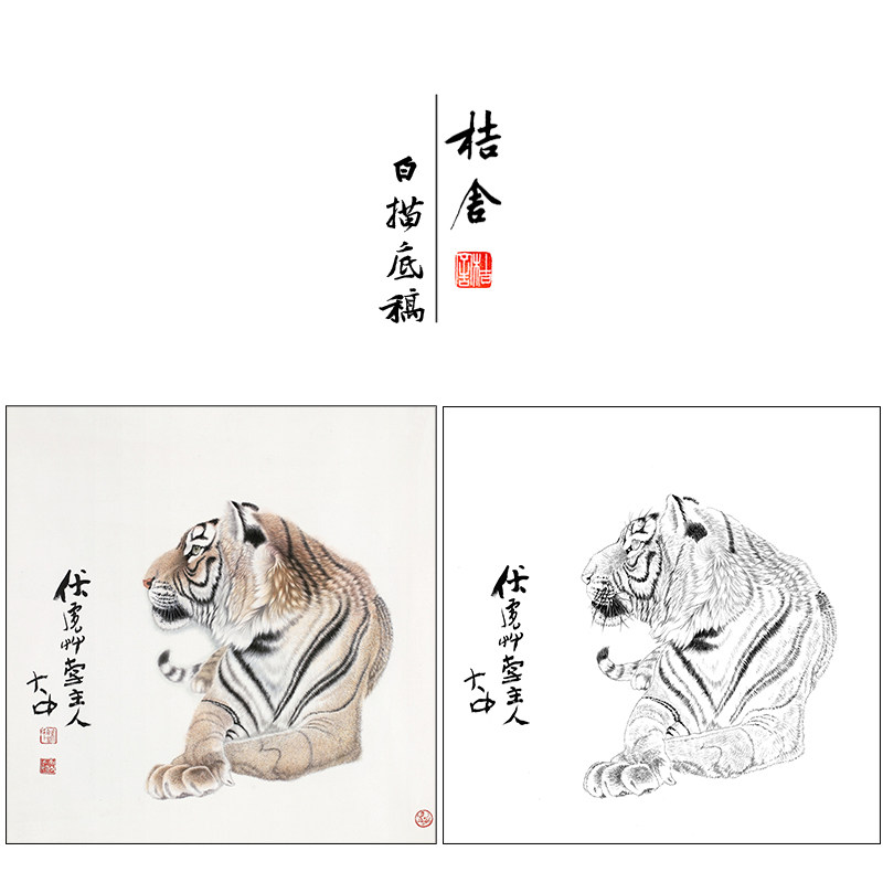 冯大中 老虎 工笔画白描底稿斗方《老虎》临摹勾线高清打印稿DZ03