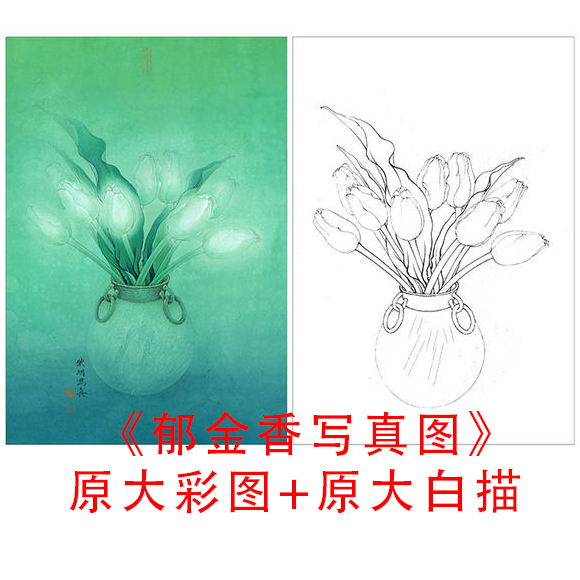 工笔白描花卉底稿李晓明郁金香写真图线描临摹实物打印稿859c