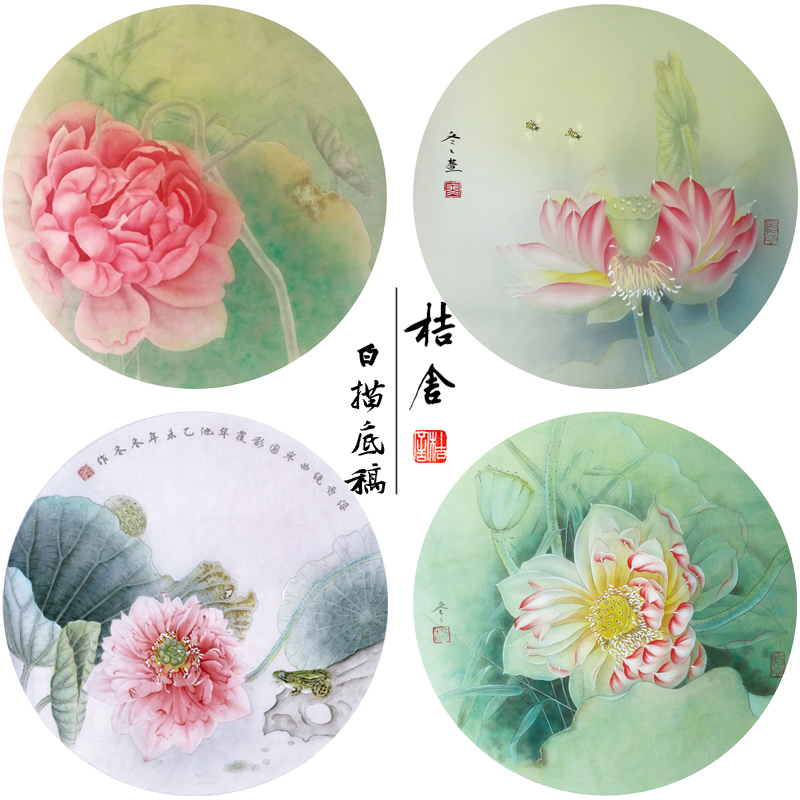 杨冬冬工笔画白描底稿荷花一套四幅初学者尺寸35*35厘米TY04