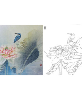 工笔画白描底稿荷花临摹杨冬步骤