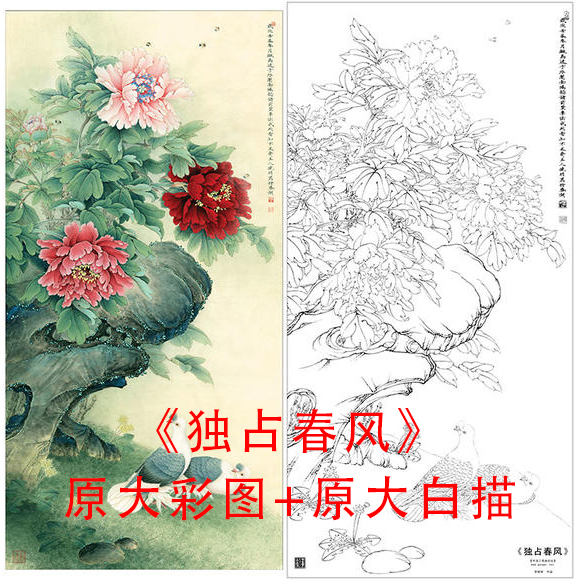 工笔白描牡丹鸽子底稿李晓明四尺独占春风线描临摹实物打印稿866C