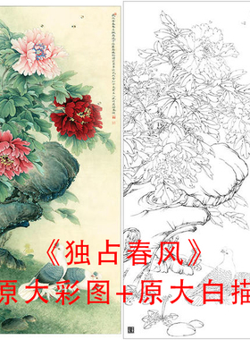 工笔白描牡丹鸽子底稿李晓明四尺独占春风线描临摹实物打印稿866C