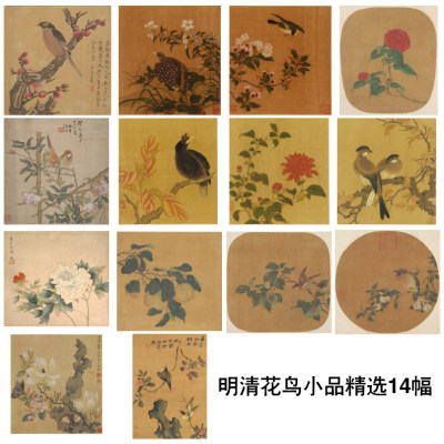 明代清代花鸟小品白描打印底稿陈洪绶精品推荐14幅