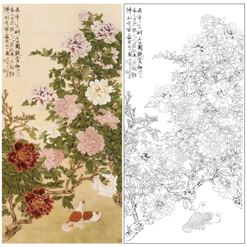 于非竖幅工笔花鸟白描底稿《牡丹双鸽》临摹勾线高清打印稿YF76
