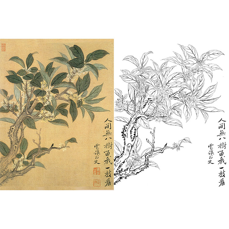 工笔画白描底稿恽寿平没骨花卉小品实物打印稿尺寸可选SP76