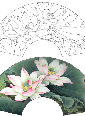 工笔花鸟白描底稿荷花李晓明扇面十里荷香线描实物打印稿K076