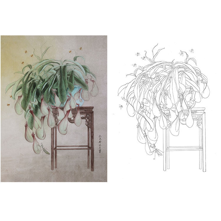 工笔画白描底稿实物勾线临摹白纸打印稿杨冬冬花鸟尺寸可选hd61