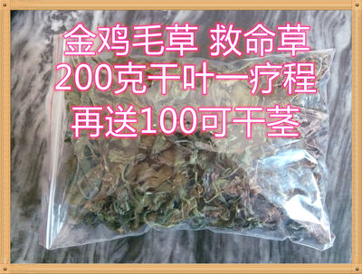 金鸡毛草菜救命草长寿草 冬冬草干叶50克 一到两个疗程能见效果