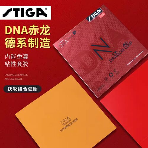 斯蒂卡赤龙DNA胶皮白金版混动