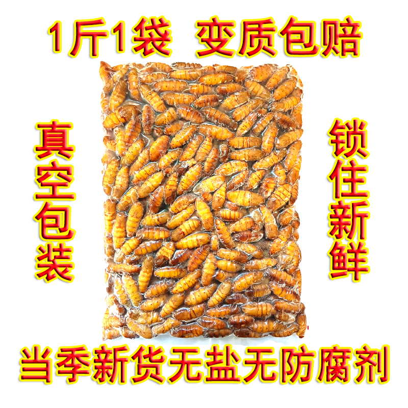 金丝蚕蛹鲜活速冻茧蛹子冷冻山东特产桑蚕蛹蝉蛹商用烧烤昆虫美食