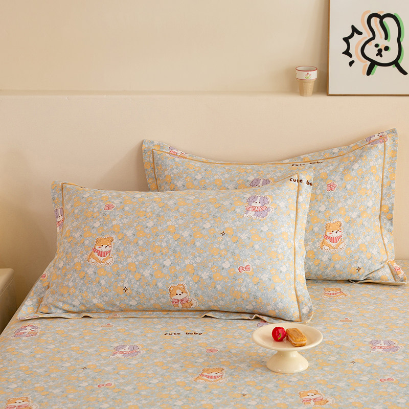 100全棉加厚磨毛枕套一对装48x74cm单人卡通纯棉枕头套冬季枕芯套