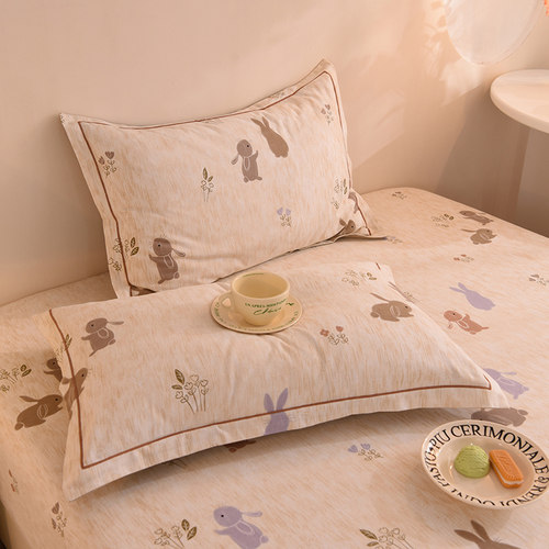 冬季加厚磨毛全棉纯棉枕套一对装