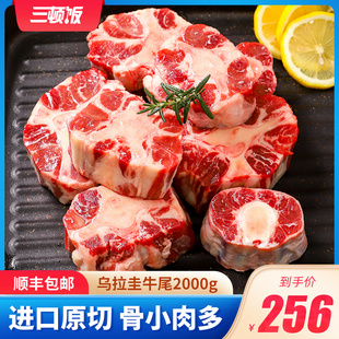 三顿饭牛尾新鲜整根乌拉圭进口冷冻骨头带肉牛尾巴2000g 包邮