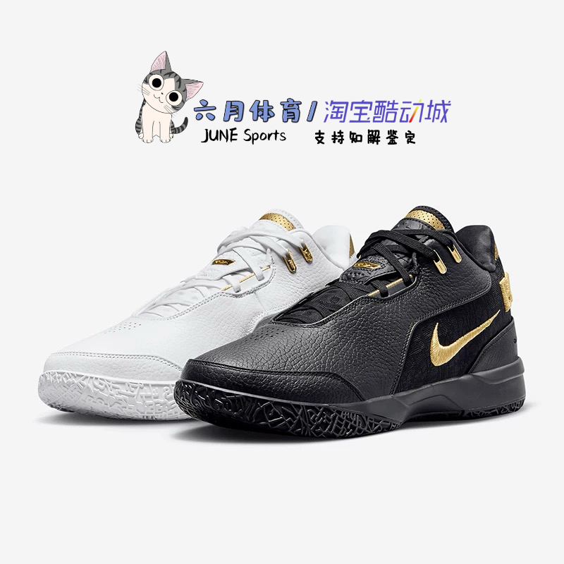Nike  男鞋篮球鞋 Zoom Lebron黑白配色缓震运动鞋FJ1567-103