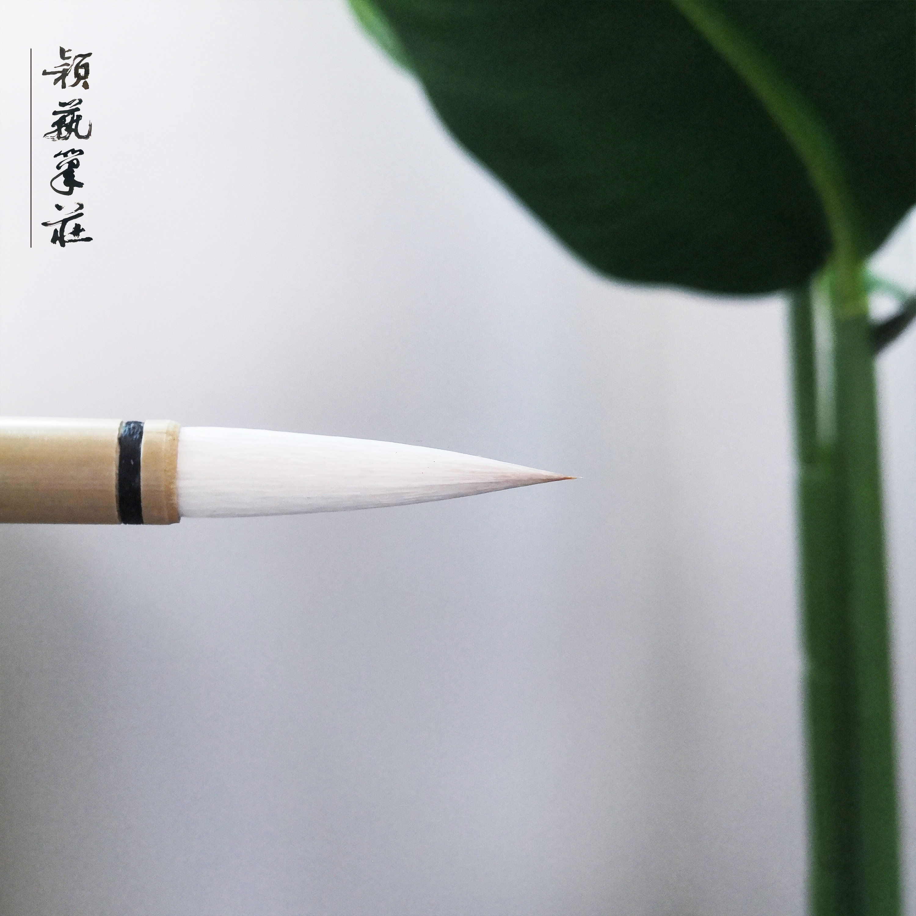 善琏湖笔小白云加健兼毫羊毫毛笔学生初学者练习软笔笔庄书法专用图片