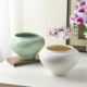 陶瓷圆形花盆浅绿色居家装 饰摆件手工花艺套装