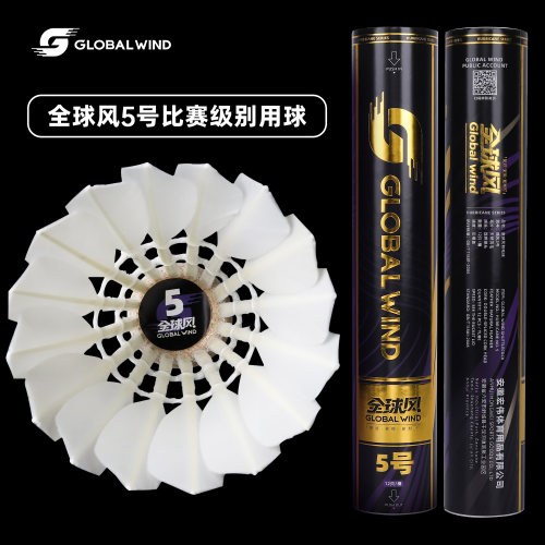 全球风飓风羽毛球比赛训练级全圆
