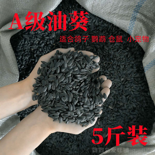 油葵小瓜子红花籽油葵种子混合粮