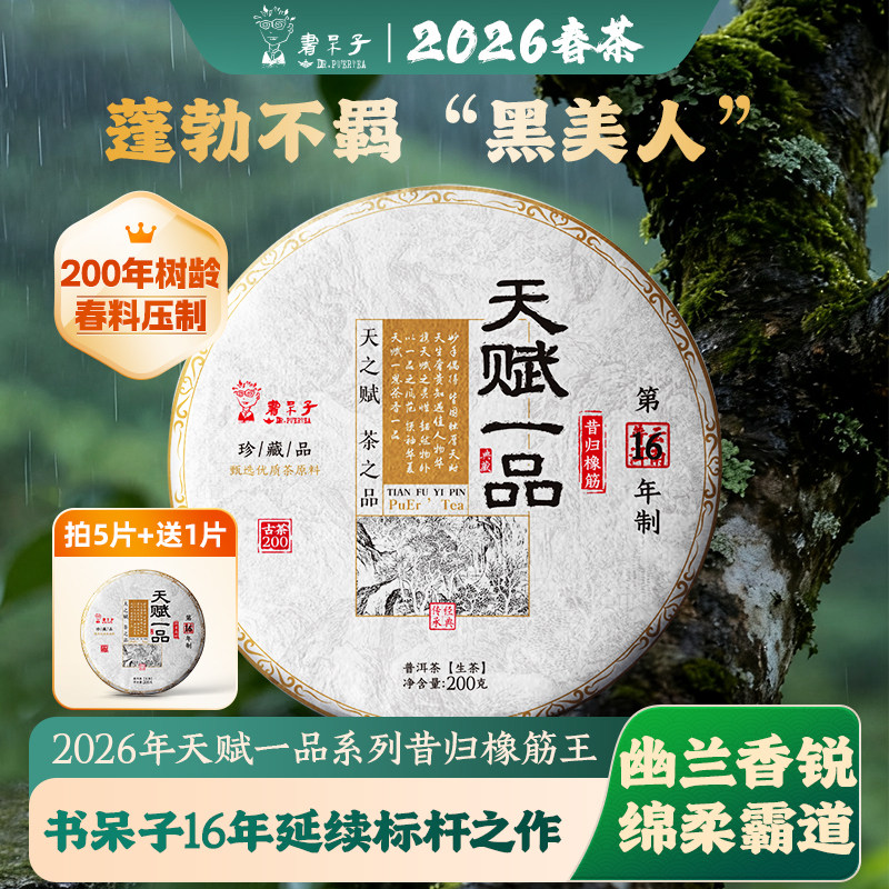 【春茶现货】书呆子26年【天赋一品昔归橡筋王】古树头春普洱生茶