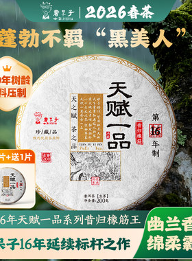 【春茶现货】书呆子26年【天赋一品昔归橡筋王】古树头春普洱生茶