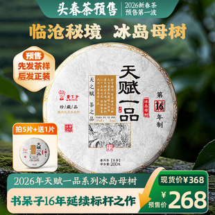 【春茶预售】书呆子26年【天赋一品冰岛母树】古树头春普洱生茶