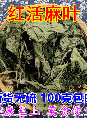 红活麻叶 干货荨麻草叶250g包邮 禾麻叶河麻豁麻叶煮水泡洗中药材