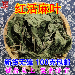 红活麻叶 干货荨麻草叶250g包邮 禾麻叶河麻豁麻叶煮水泡洗中药材