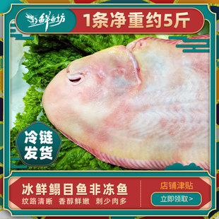 冰鲜五5斤1条冰鲜整条龙利鱼舌头鱼舌鳎鱼鳎米鱼鳎目鱼野生牛舌头