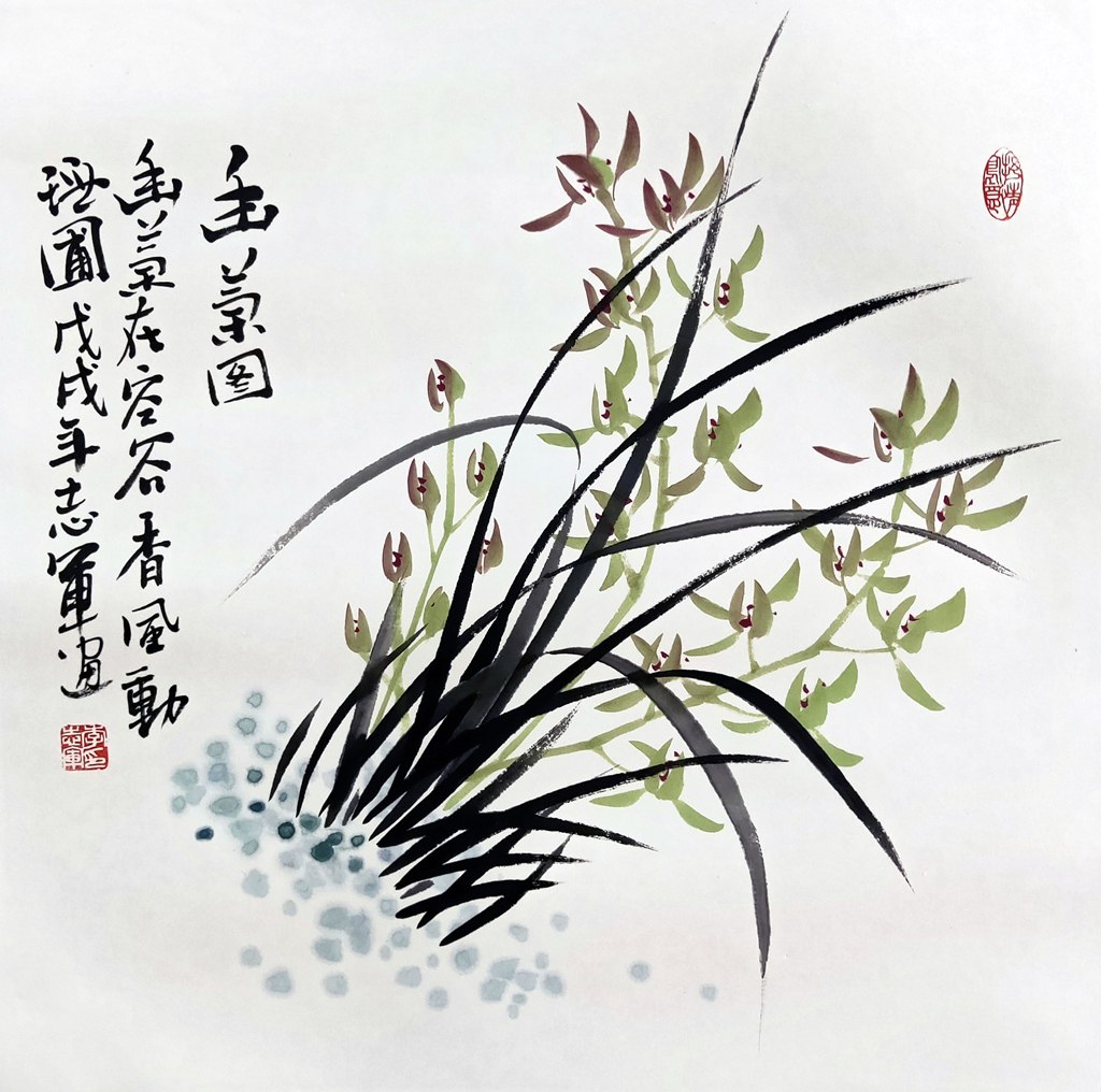 纯手绘国画写意花鸟画斗方兰花书房装饰字画走道茶室挂画幽兰图