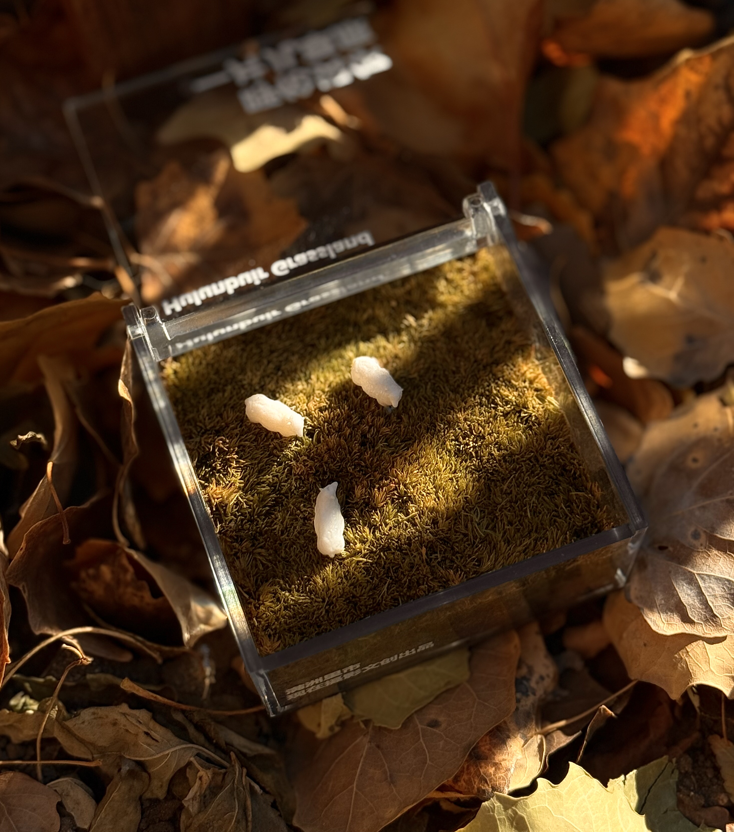 满洲里冰箱贴呼伦贝尔一片草原秋天的草原套娃国门内蒙古草原文创