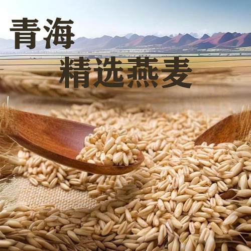 青海高原产燕麦米农民自产带皮燕麦米2025年新米真空包装1斤煮饭