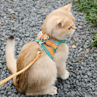 胸背防挣脱幼猫魔术贴安全扣反光宠物遛猫 猫咪牵引绳可爱背心式