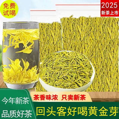 黄金芽茶叶2025新茶黄金叶茶叶自己喝茶叶送礼长辈浓香耐泡250g