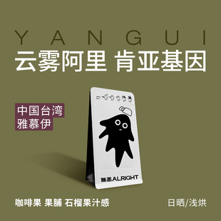 无恙咖啡 | 雅慕伊 台湾 中国 阿里山 日晒 浅烘精品咖啡豆100g