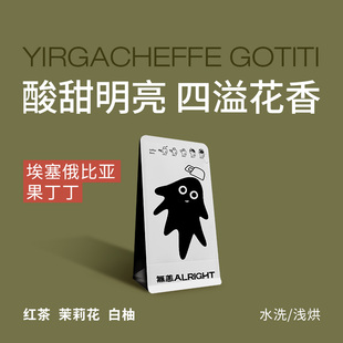 无恙咖啡 | 果丁丁 埃塞俄比亚 耶加雪菲 水洗  咖啡豆100g