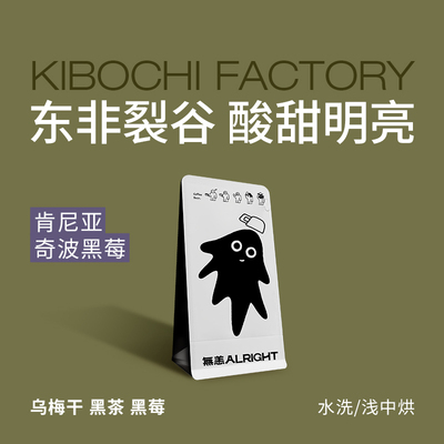 无恙咖啡 | 奇波黑莓 肯尼亚 传统水洗 浅中烘 精品咖啡豆100g