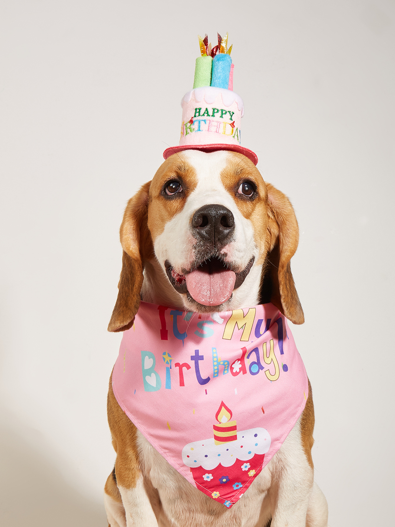 宠物生日装饰狗狗三角巾帽子冬天中小型犬口水巾围兜脖派对生日帽