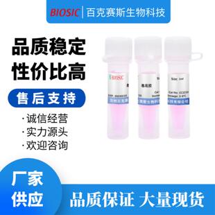 实验室科研用试剂 基底膜基质胶基底胶 Matrigel