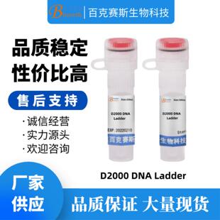 实验科研用试剂 D2000 DNA Ladder 分子生物学试剂