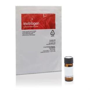 5MG Invitrogen小麦胚芽凝集素和 555偶联物 Alexa W324 Fluor