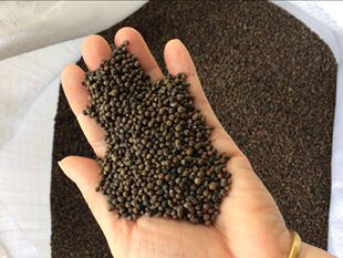 黄荆子枕头填充物枕芯布惊籽布荆仁黄金子普姜籽荆棵荆种子黄金籽