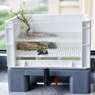 黎明玩龟6040周转箱沉淀板垫板底滤板隔板发色板宠物龟乌龟生态缸