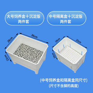 发色饲养盒+沉淀板2件套新款独创乌龟黑白黄透明蛋龟宠物果核头盔
