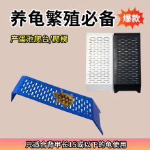 乌龟产蛋池晒台白色黑色白色黄色蓝色加宽加长爬坡爬梯爬台宠物龟