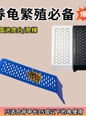 乌龟产蛋池晒台白色黑色白色黄色蓝色加宽加长爬坡爬梯爬台宠物龟