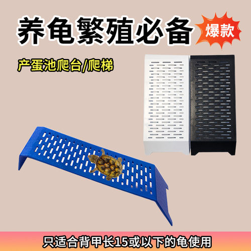 龟爬梯爬坡爬台产蛋池晒台防滑！